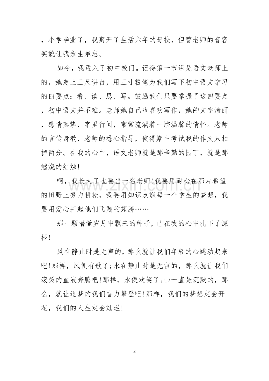 我的梦想演讲稿500字我有一个梦想.docx_第2页