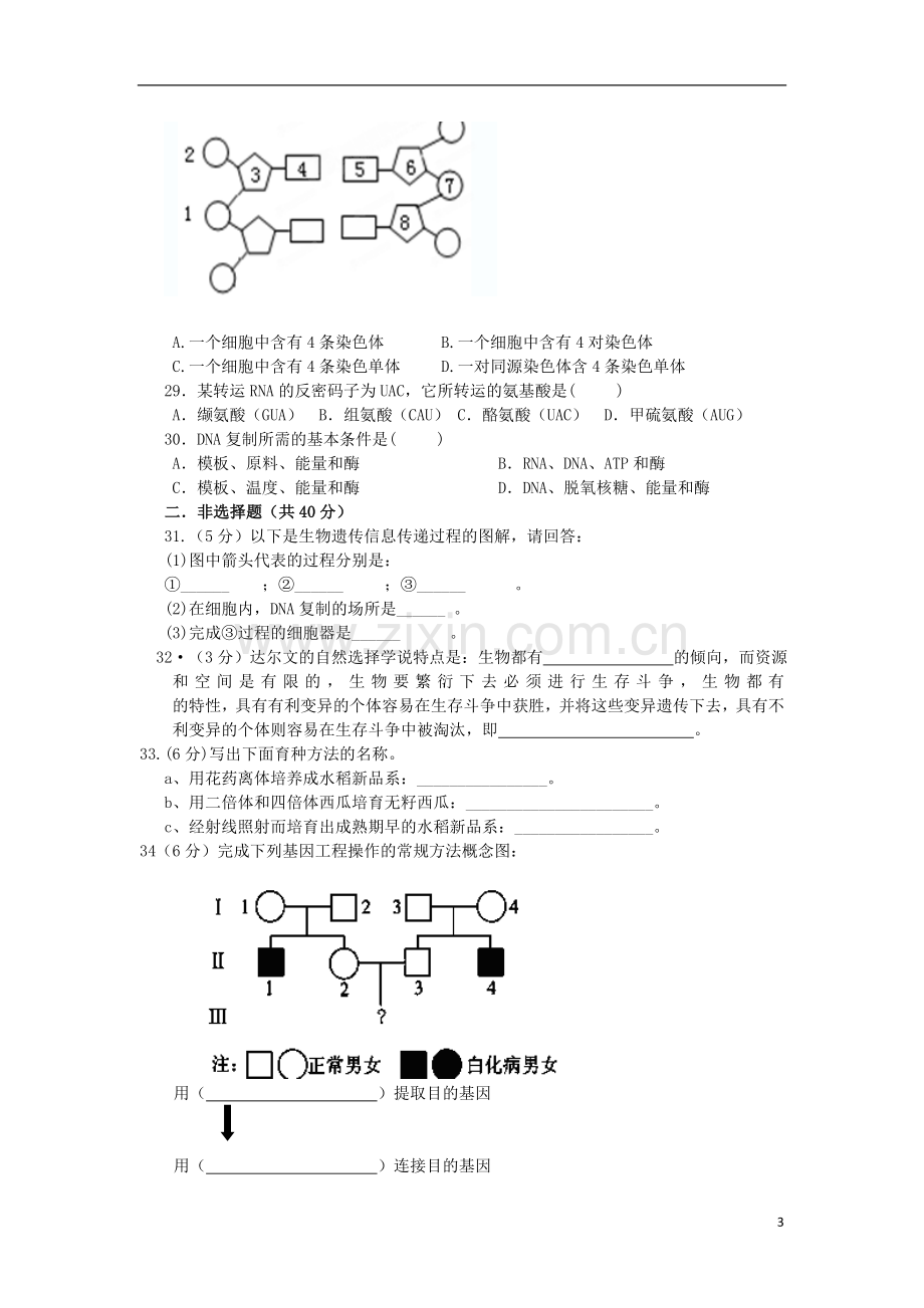 吉林省龙井市三中2012-2013学年高一生物下学期期末考试试题-文-新人教版.doc_第3页