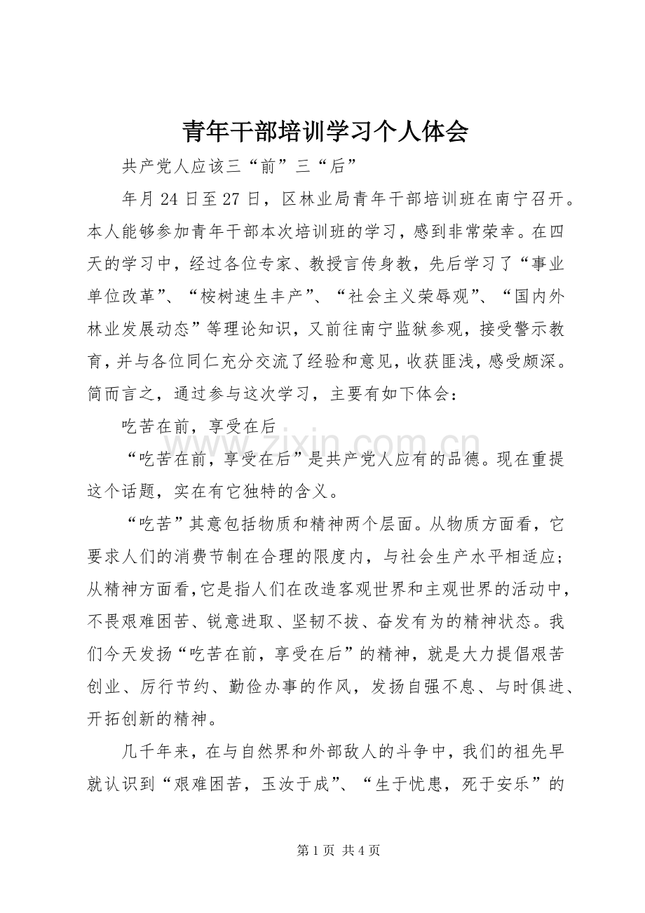 青年干部培训学习个人体会.docx_第1页