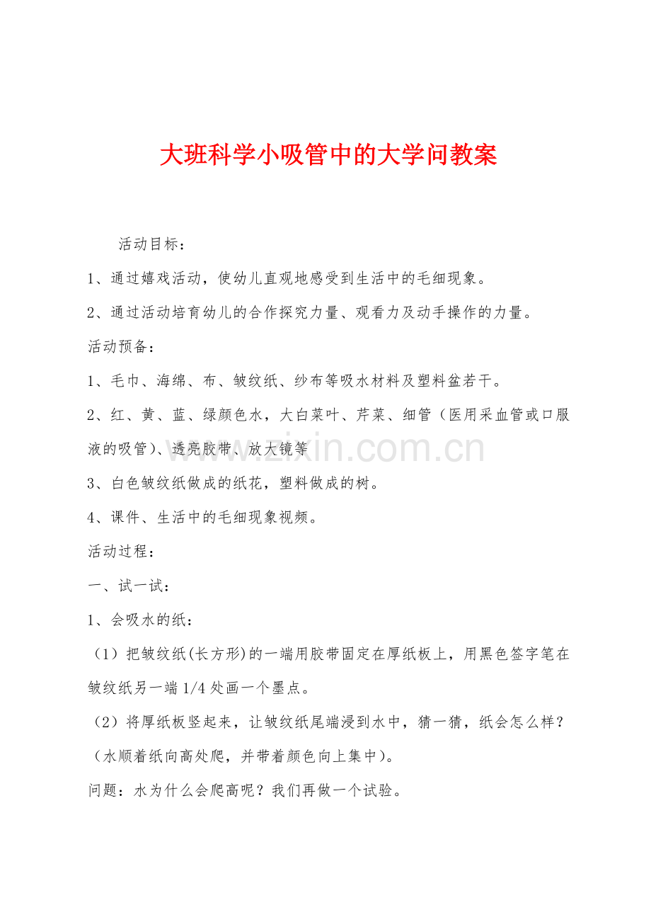 大班科学小吸管中的大学问教案.docx_第1页