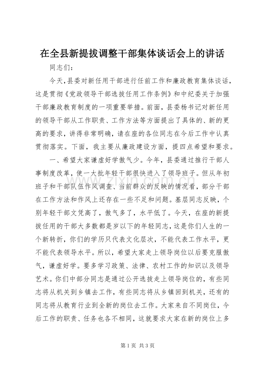 在全县新提拔调整干部集体谈话会上的讲话.docx_第1页