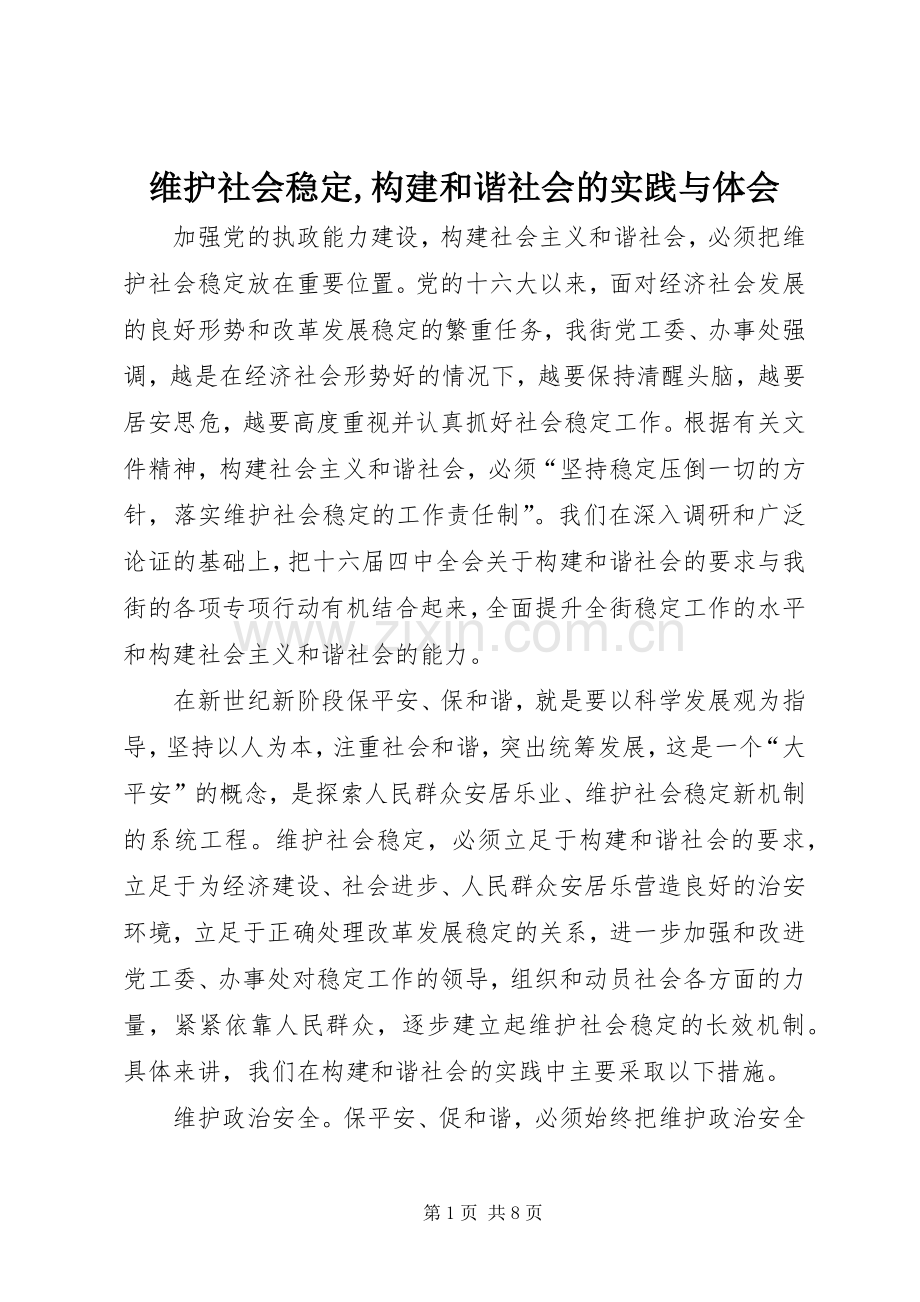 维护社会稳定,构建和谐社会的实践与体会.docx_第1页