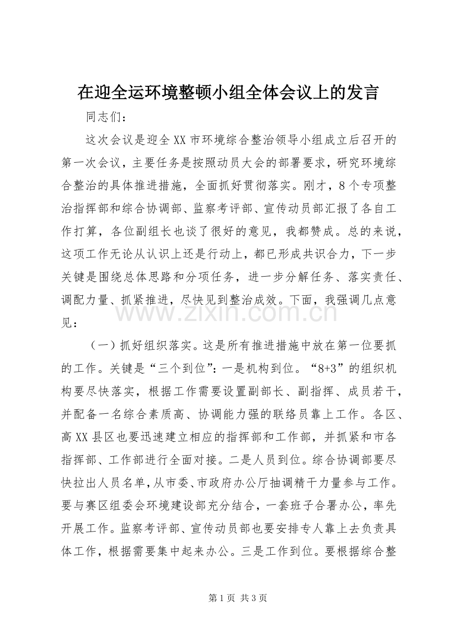 在迎全运环境整顿小组全体会议上的发言.docx_第1页