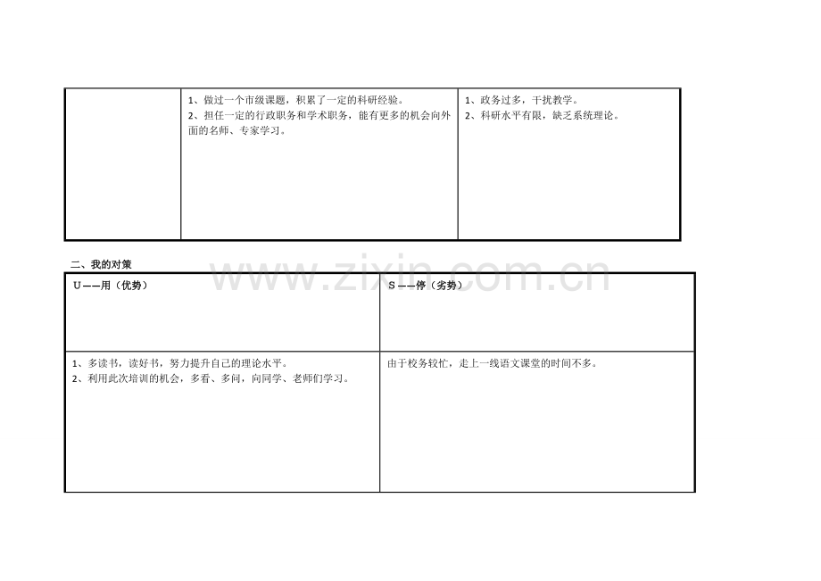 潘的个人自我诊断SWOT分析表.doc_第2页