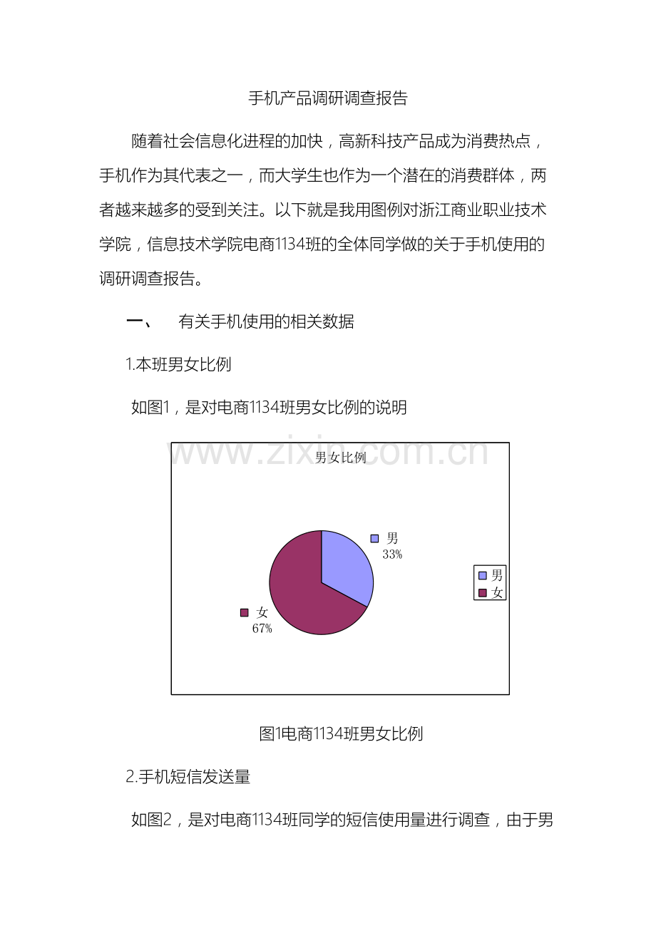 手机产品调研调查报告.doc_第2页