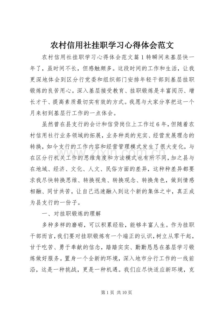 农村信用社挂职学习心得体会范文.docx_第1页