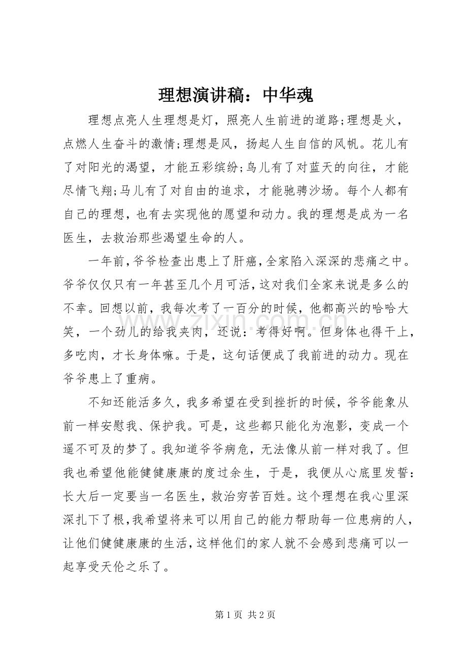 理想演讲稿：中华魂.docx_第1页