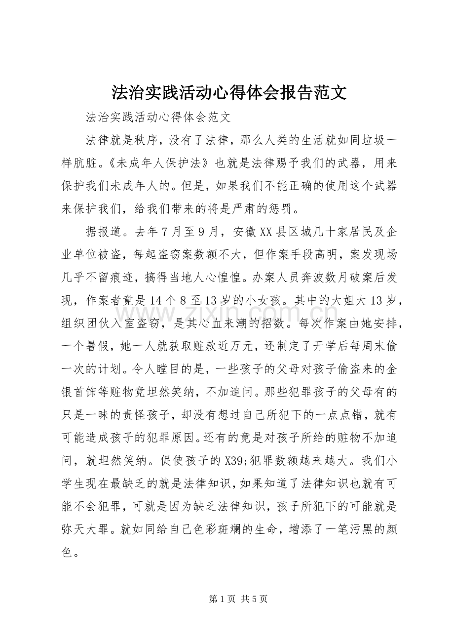 法治实践活动心得体会报告范文.docx_第1页