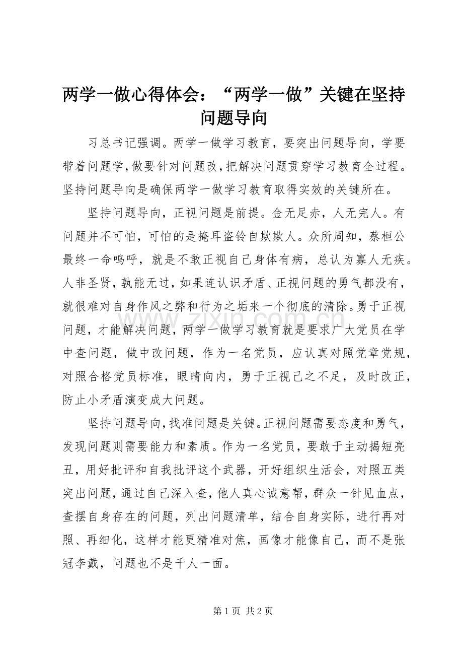 两学一做心得体会：“两学一做”关键在坚持问题导向.docx_第1页