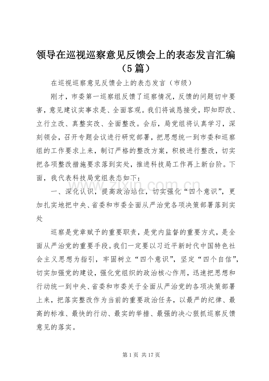 领导在巡视巡察意见反馈会上的表态发言汇编（5篇）.docx_第1页