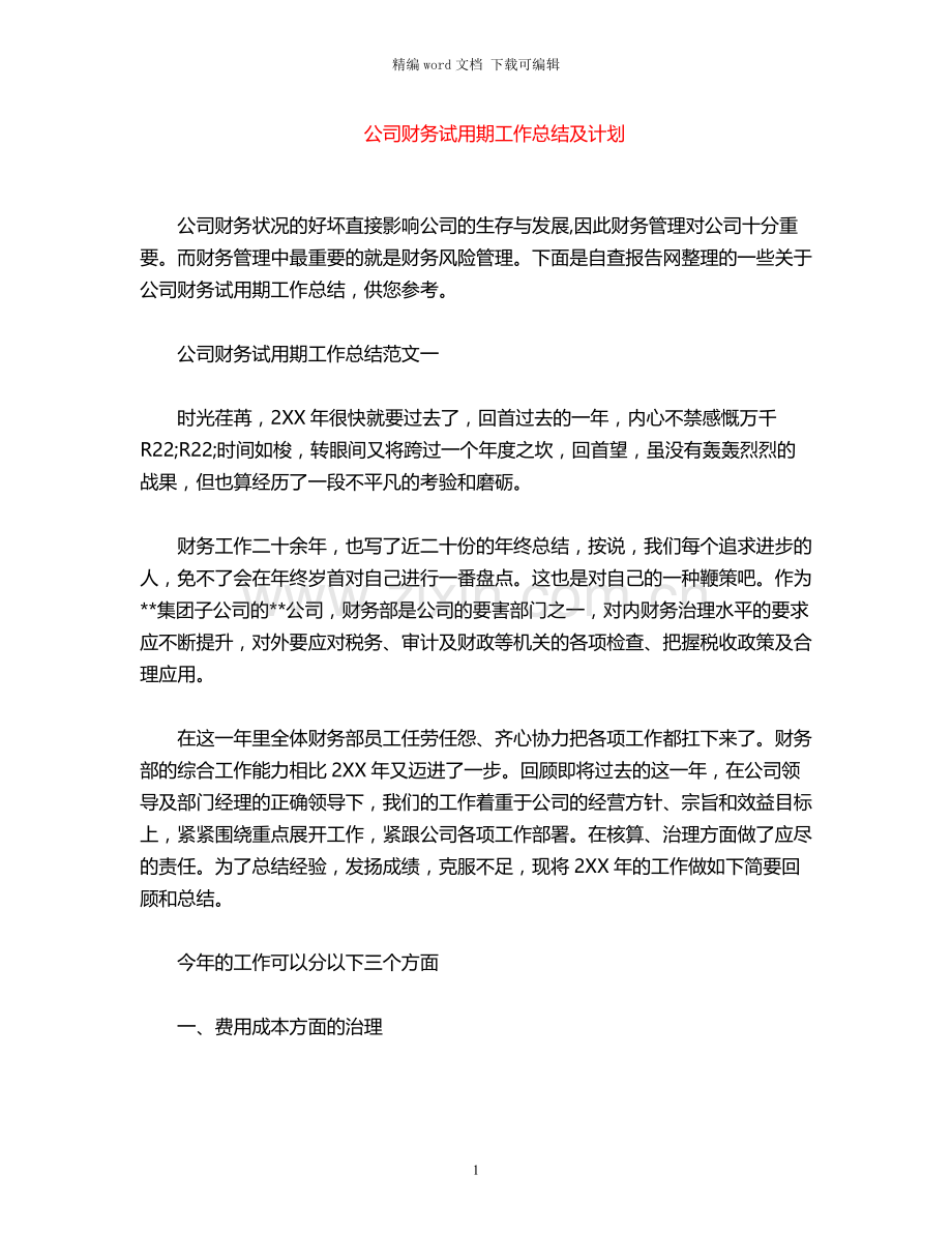 2021年公司财务试用期工作总结及计划.docx_第1页