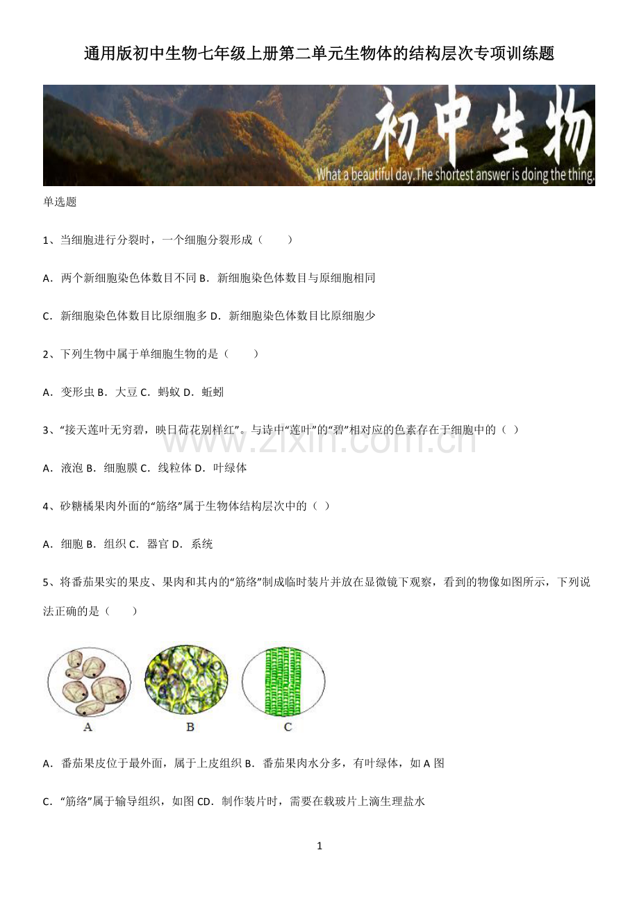 通用版初中生物七年级上册第二单元生物体的结构层次专项训练题.pdf_第1页