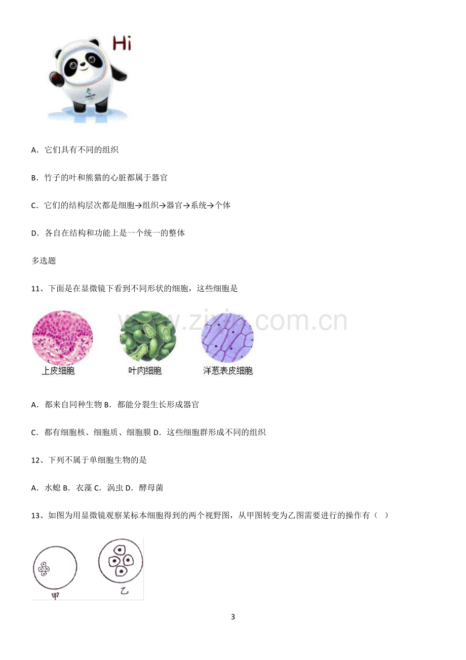 通用版初中生物七年级上册第二单元生物体的结构层次专项训练题.pdf_第3页