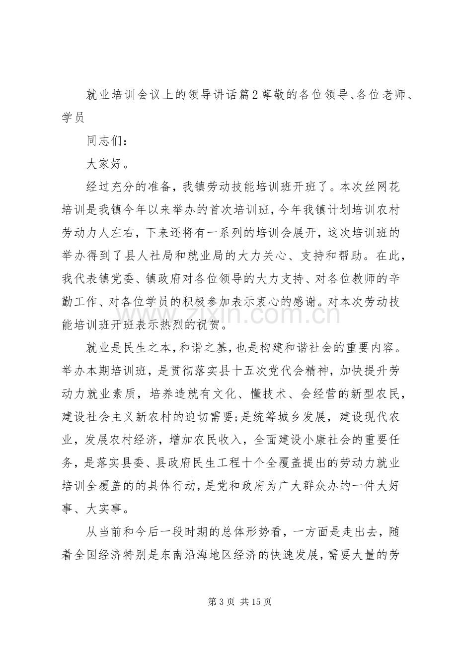 就业培训会议上的领导讲话.docx_第3页