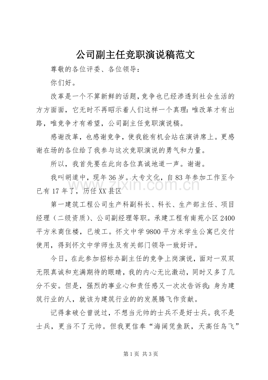 公司副主任竞职演说稿范文.docx_第1页