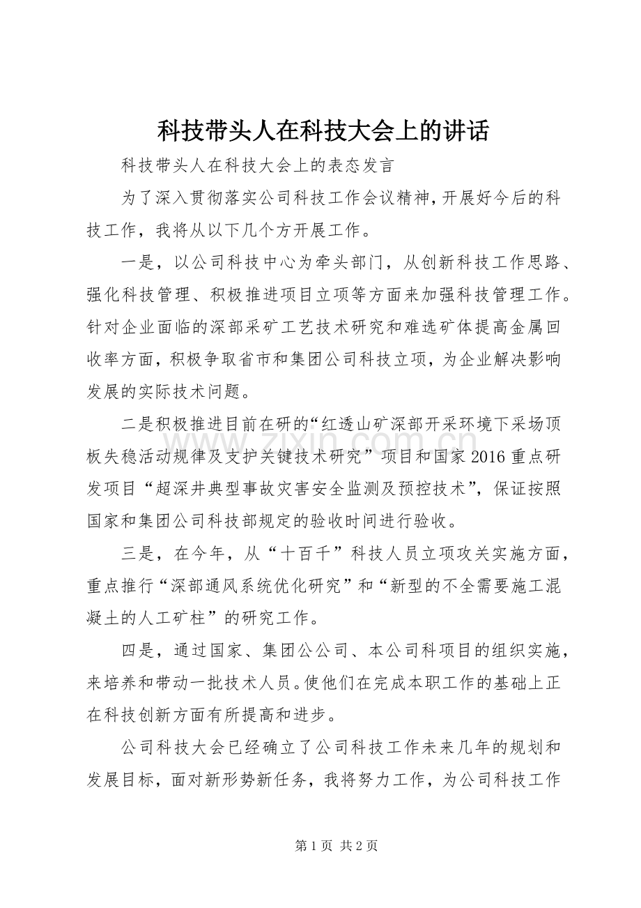 科技带头人在科技大会上的讲话.docx_第1页