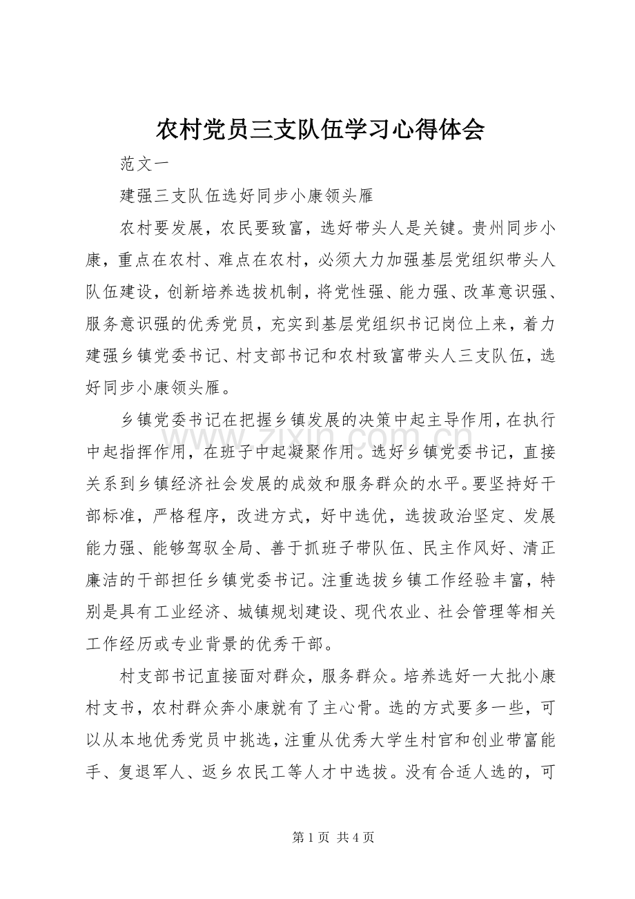 农村党员三支队伍学习心得体会.docx_第1页