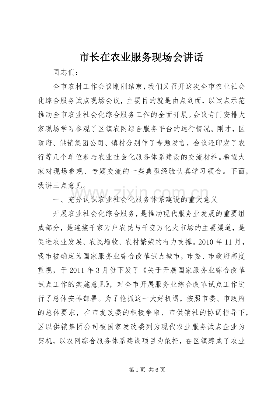 市长在农业服务现场会讲话.docx_第1页