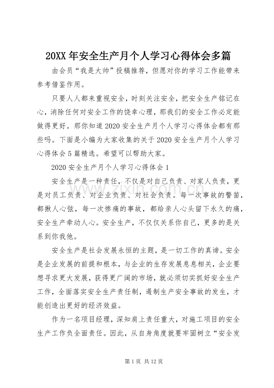 20XX年安全生产月个人学习心得体会多篇.docx_第1页