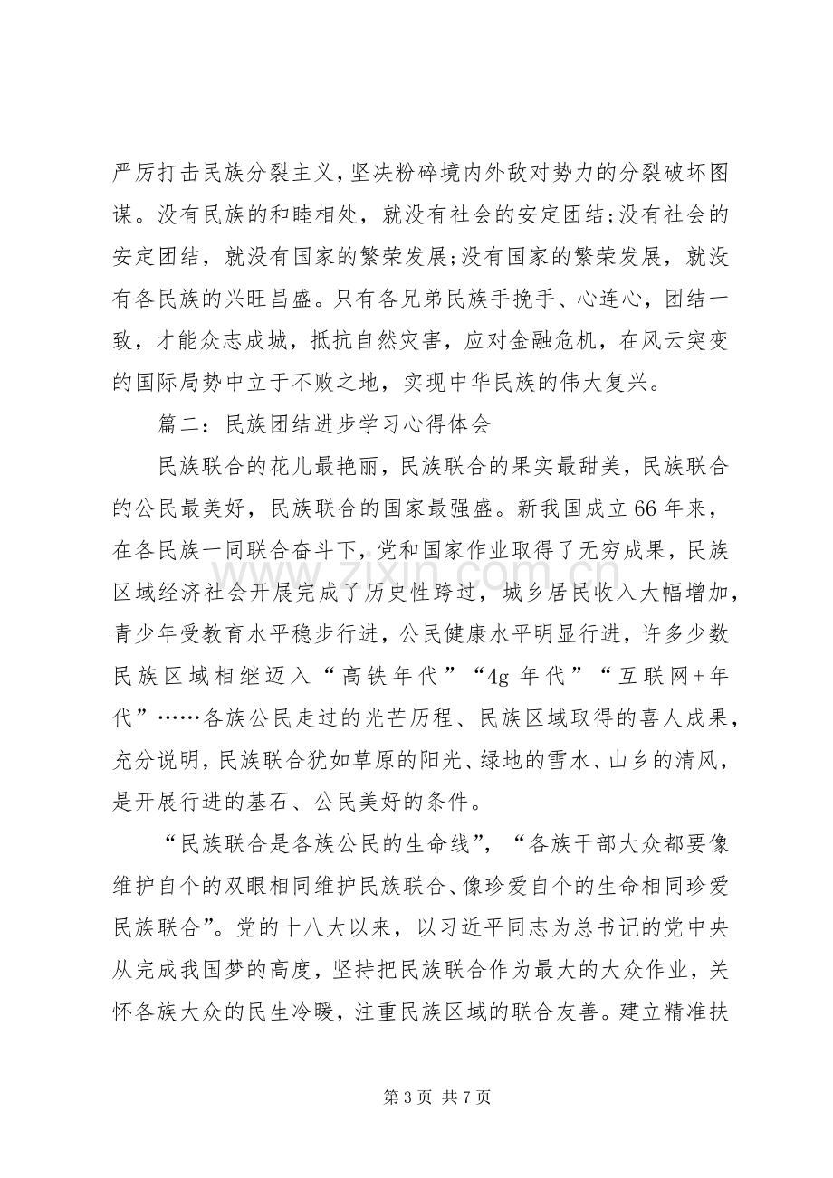 民族团结进步学习心得体会.docx_第3页