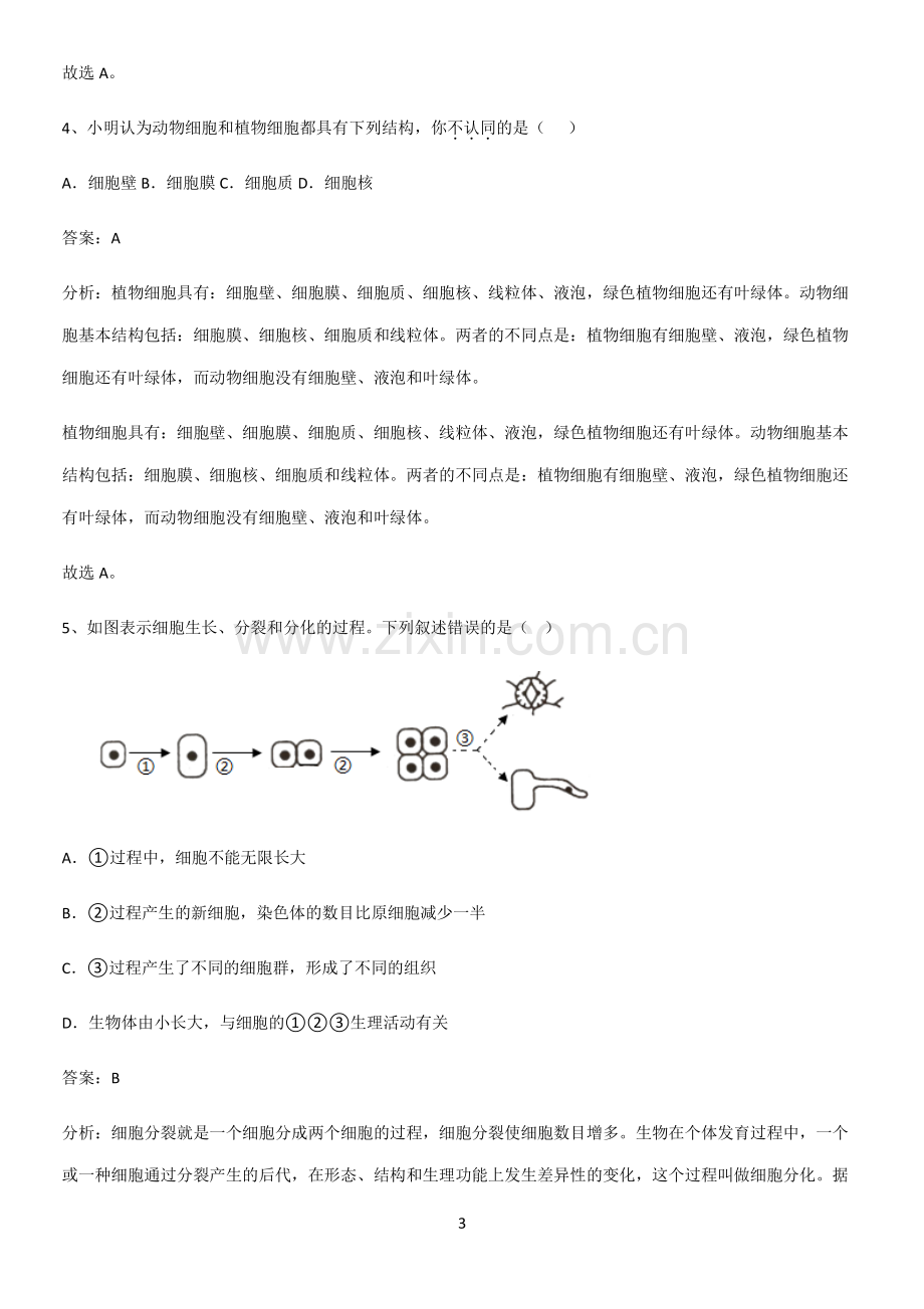 通用版初中生物七年级上册第二单元生物体的结构层次重难点归纳-(2).pdf_第3页