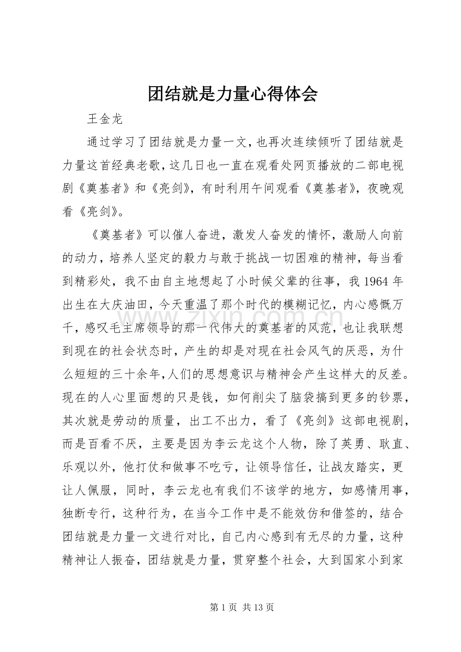 团结就是力量心得体会.docx_第1页