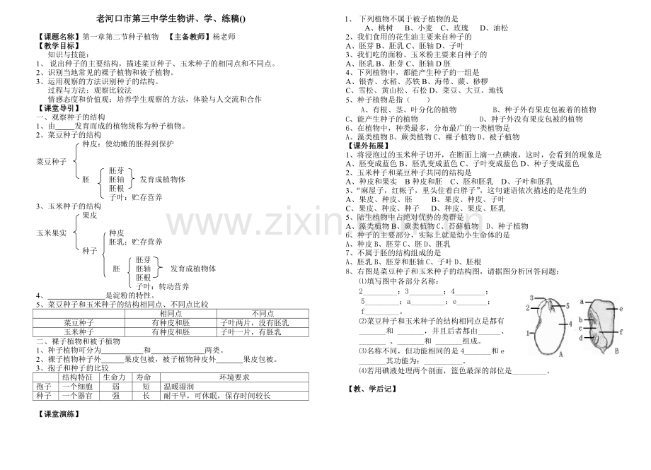 种子植物.doc_第1页