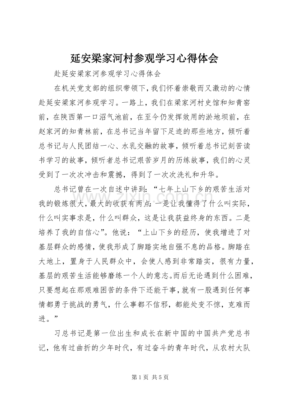 延安梁家河村参观学习心得体会.docx_第1页