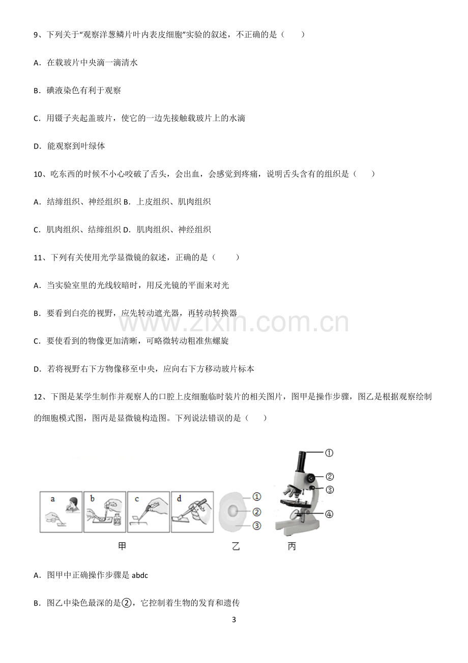 (文末附答案)人教版2022年初中生物生物体的结构层次解题方法技巧.pdf_第3页