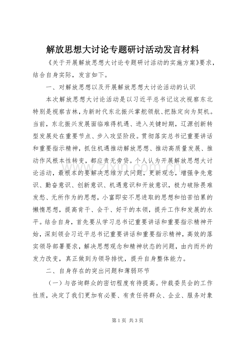 解放思想大讨论专题研讨活动发言材料.docx_第1页