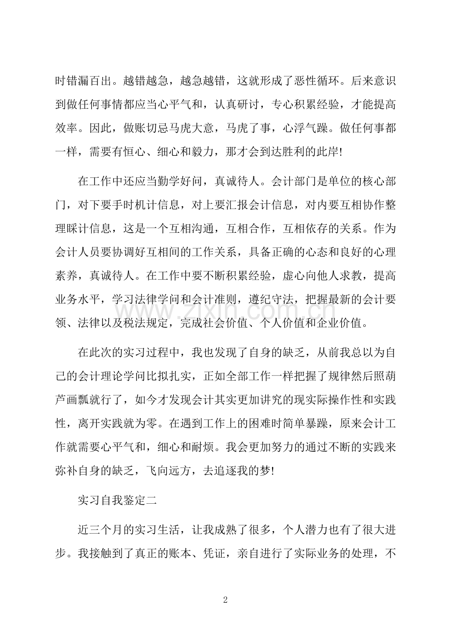 出纳实习自我鉴定范文.docx_第2页