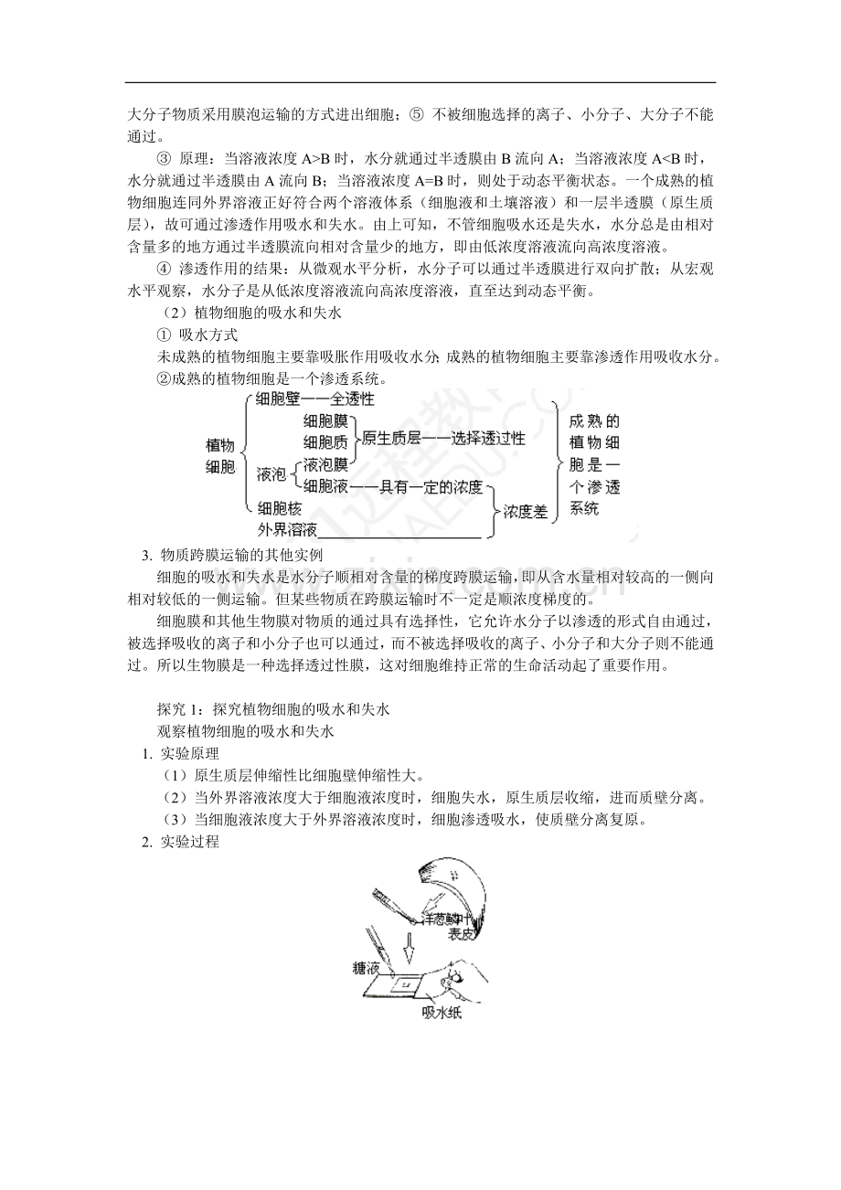 高三数学第4章-细胞的物质输入和输出---第1节---第3节人教实验版知识精讲.doc_第2页