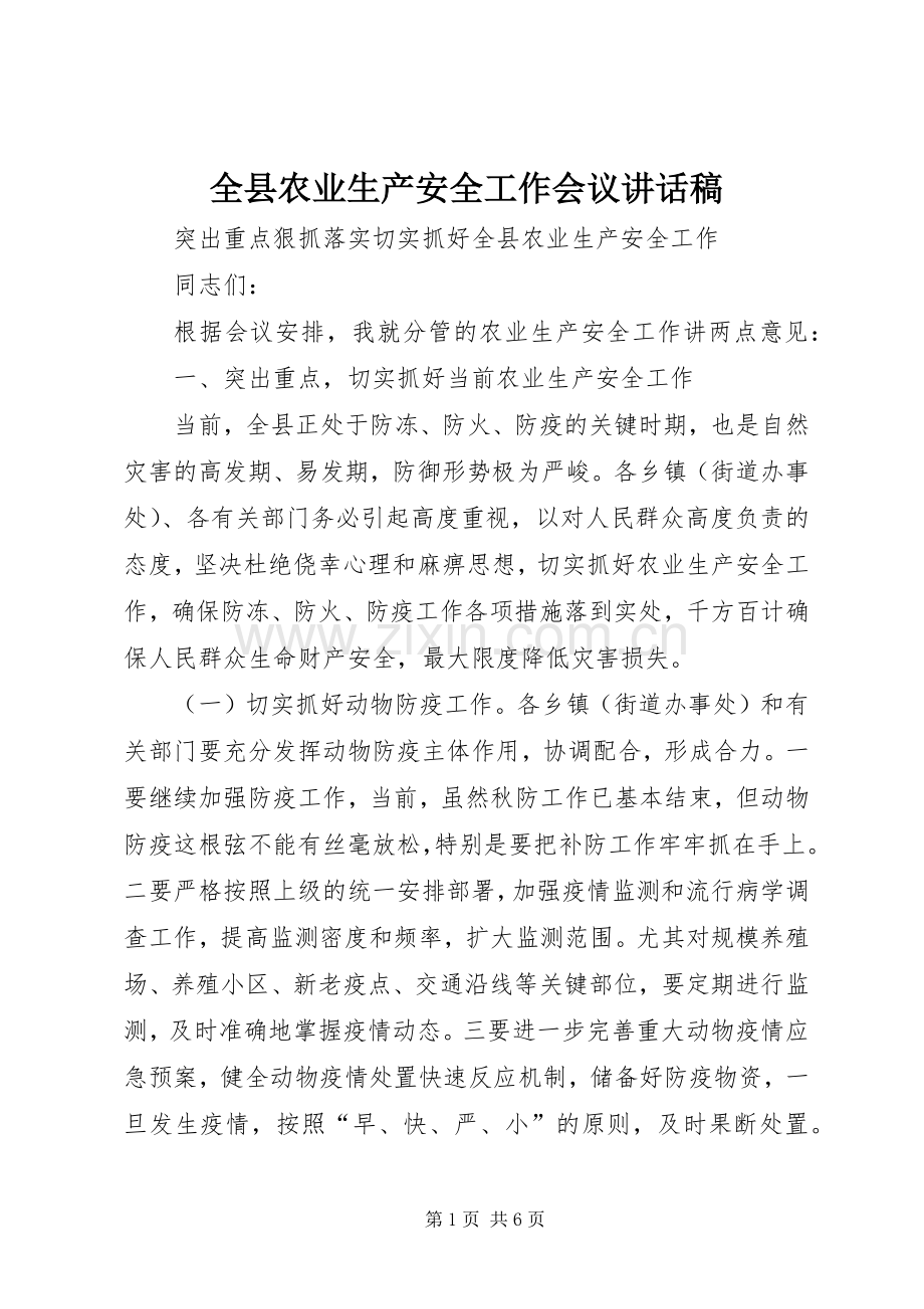 全县农业生产安全工作会议讲话稿.docx_第1页