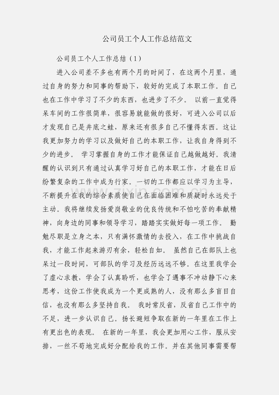 公司员工个人工作总结范文.docx_第1页