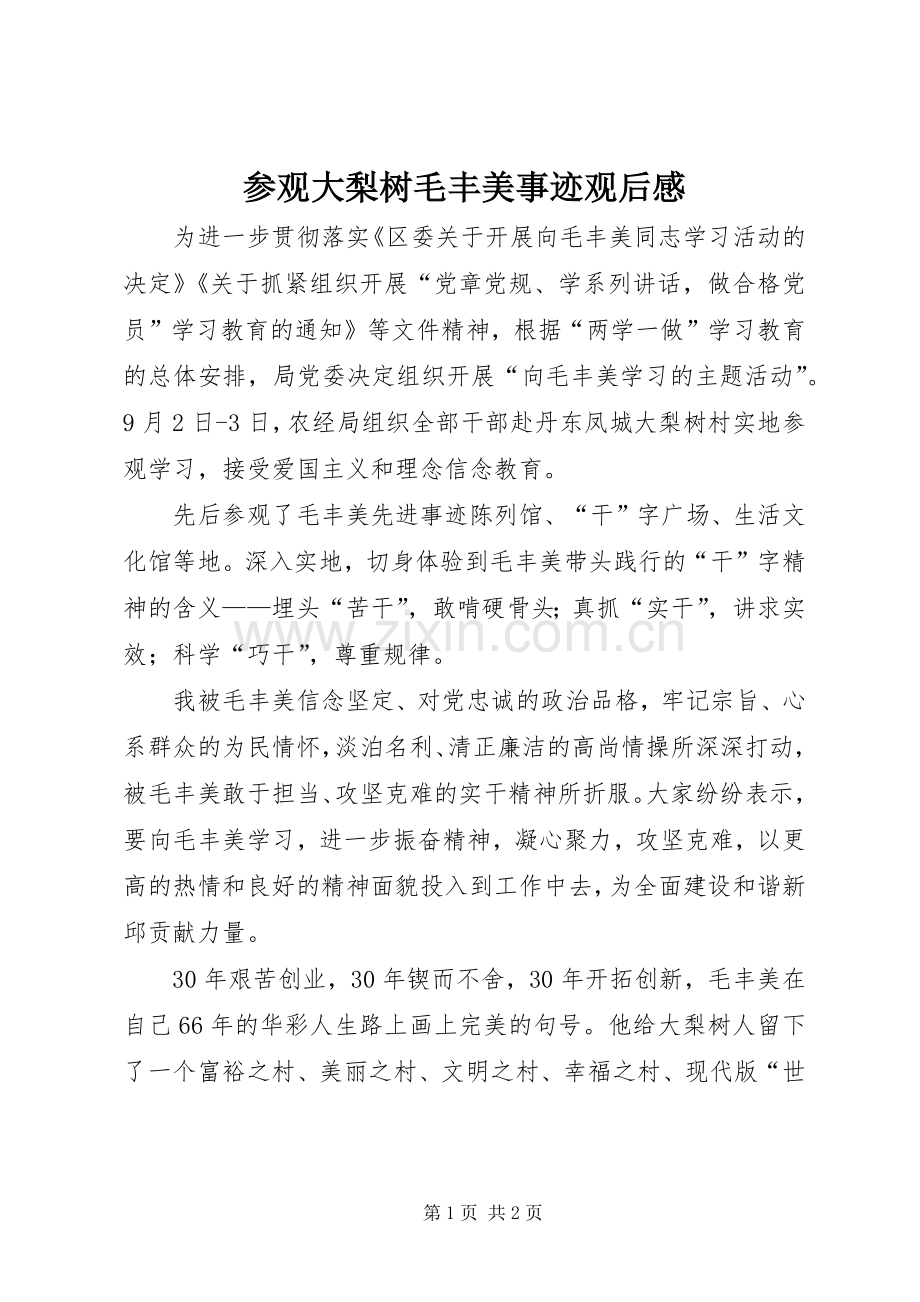 参观大梨树毛丰美事迹观后感.docx_第1页