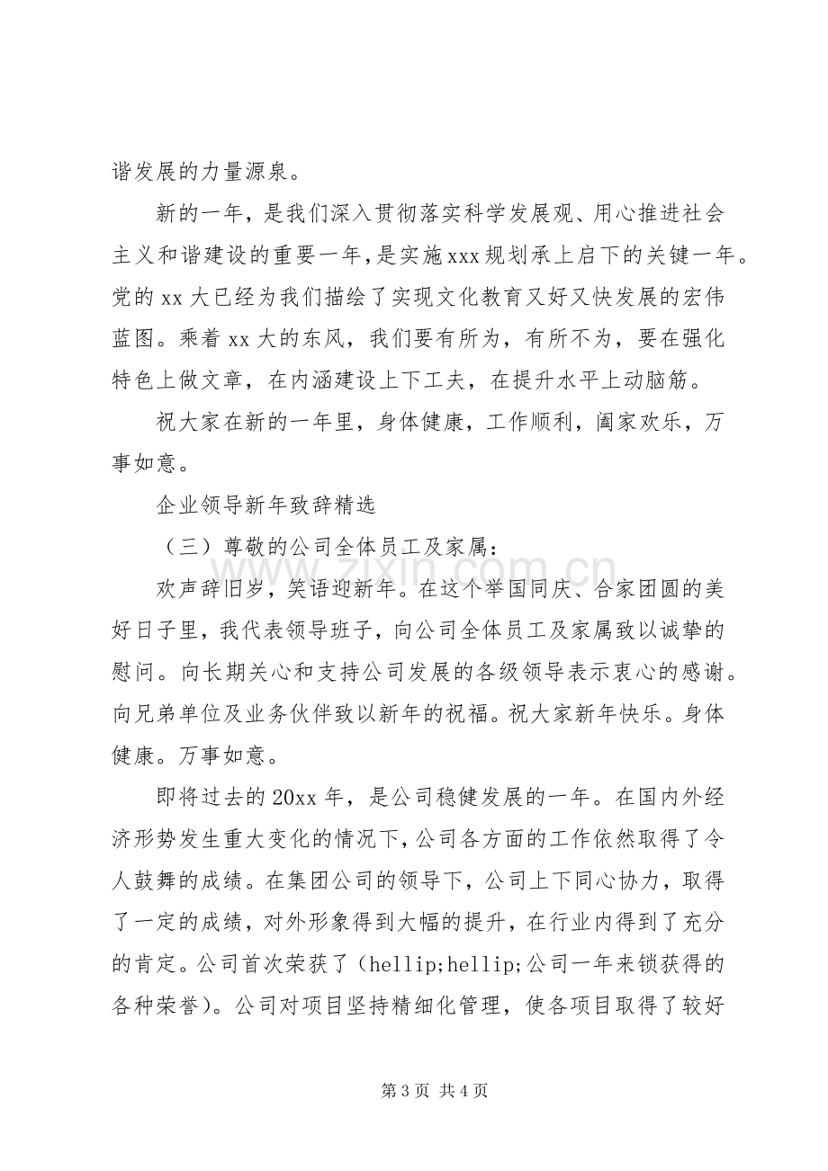 企业领导新年致辞.docx_第3页