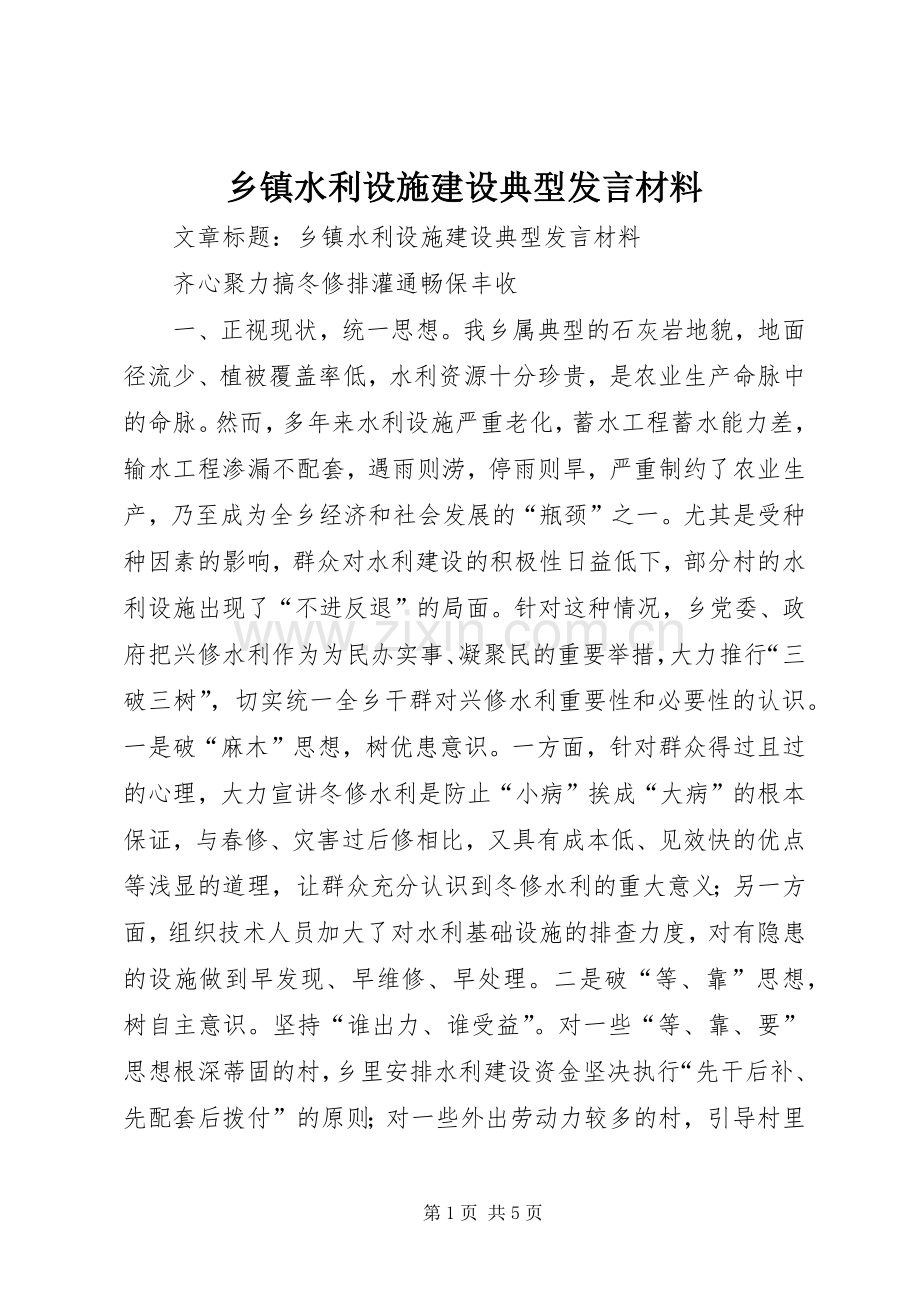 乡镇水利设施建设典型发言材料.docx_第1页