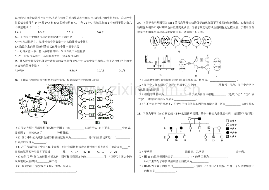 生物必修二试题(典型).doc_第3页