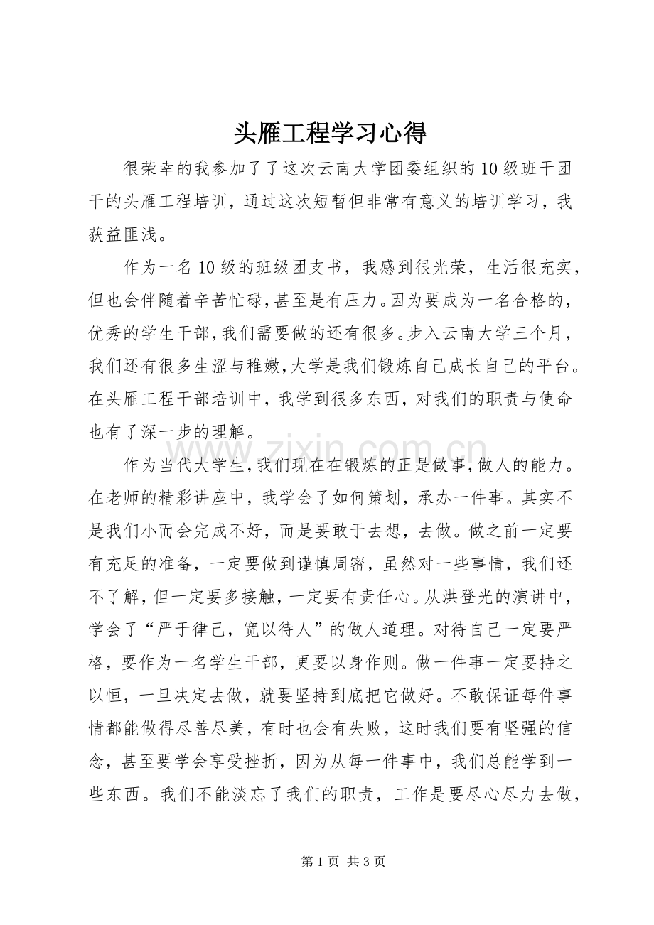 头雁工程学习心得.docx_第1页