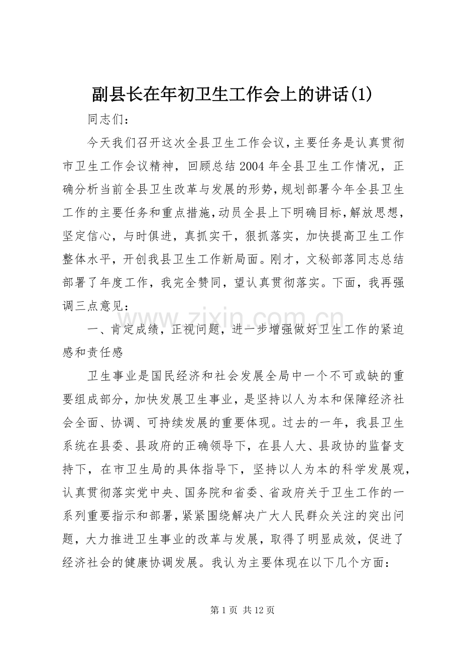 副县长在年初卫生工作会上的讲话(1).docx_第1页