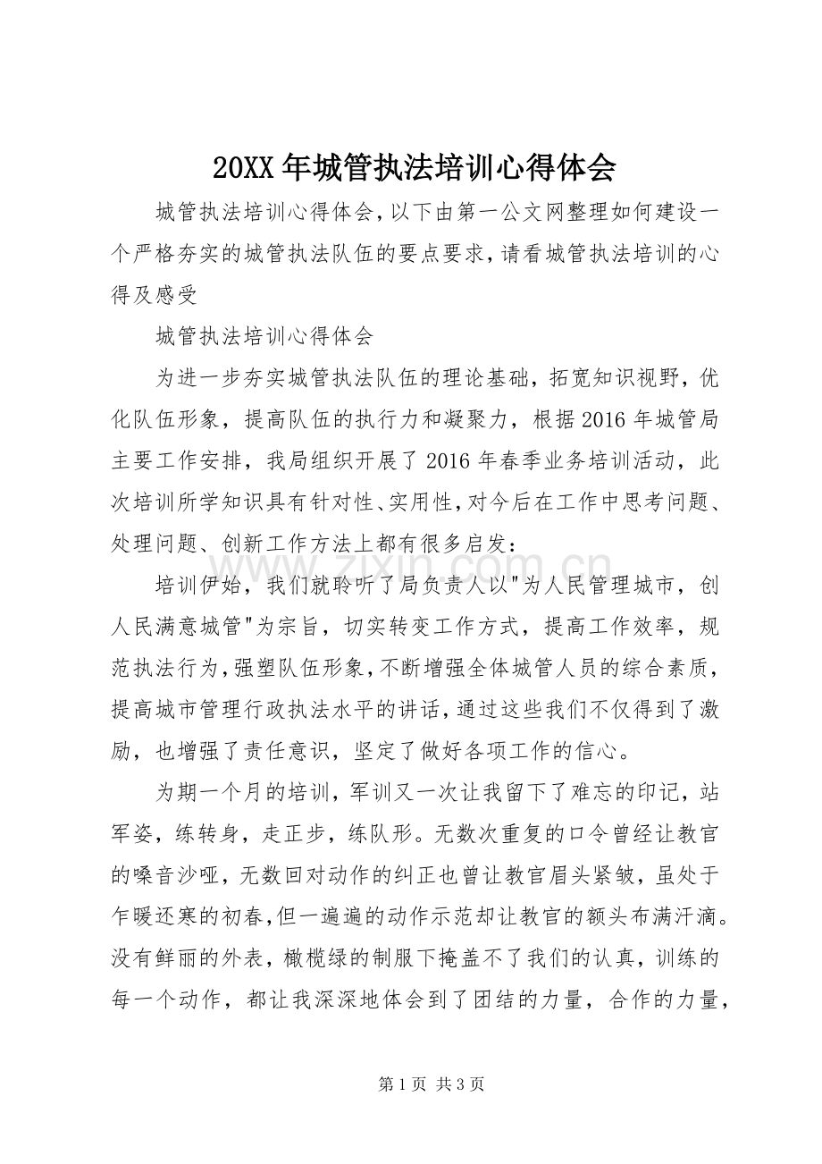 20XX年城管执法培训心得体会.docx_第1页