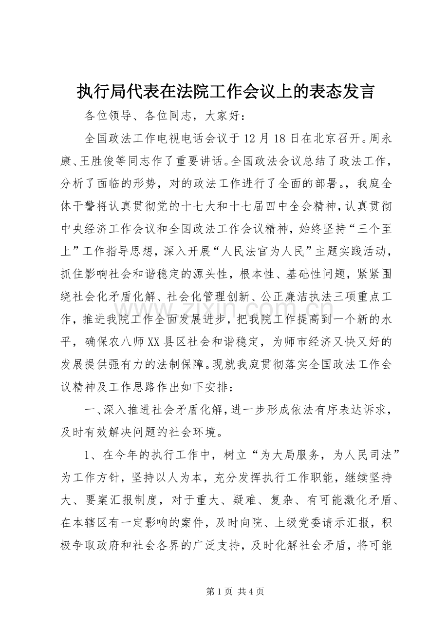 执行局代表在法院工作会议上的表态发言.docx_第1页