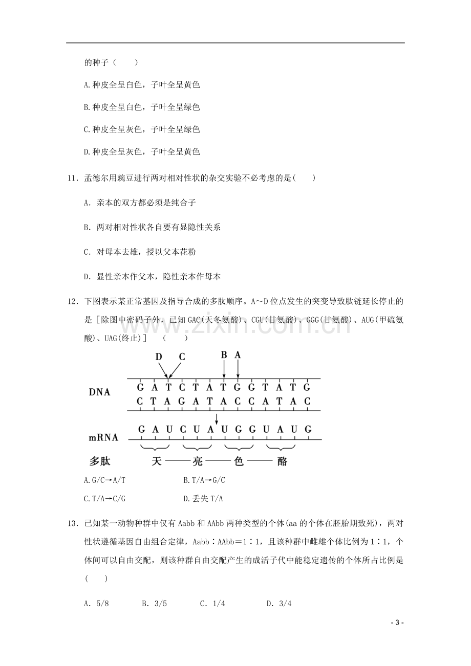 高中生物遗传与进化模块测试23-新人教版必修2.doc_第3页