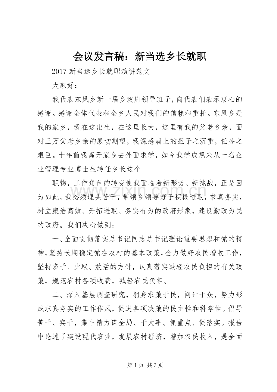 会议发言稿：新当选乡长就职.docx_第1页