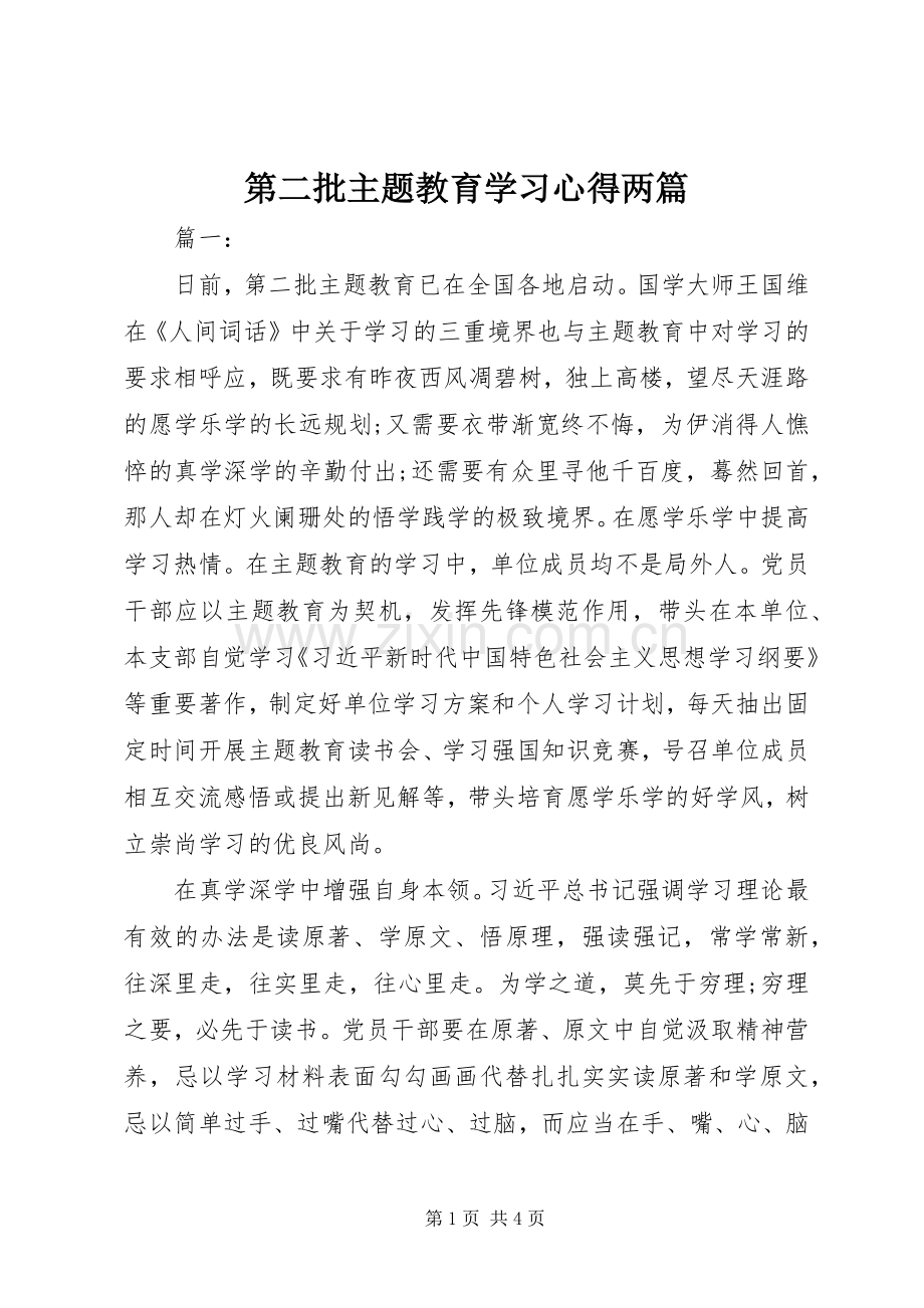 第二批主题教育学习心得两篇.docx_第1页