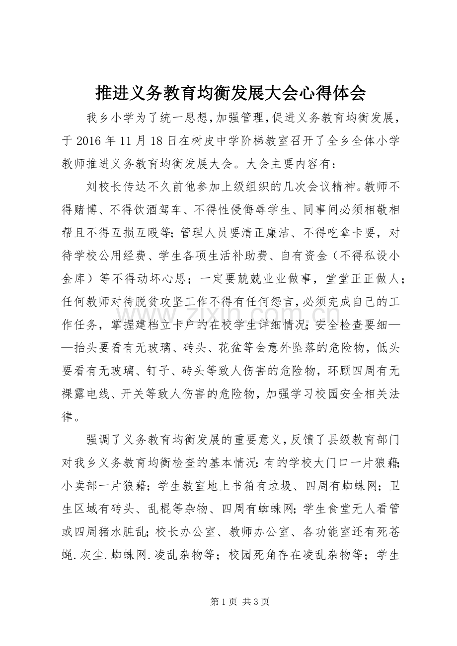 推进义务教育均衡发展大会心得体会.docx_第1页