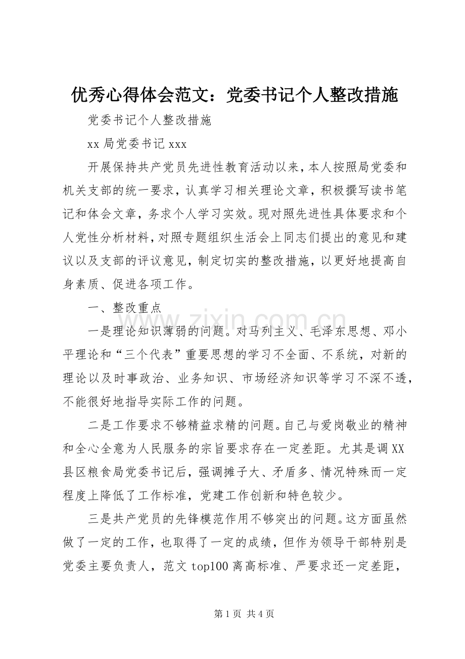 优秀心得体会范文：党委书记个人整改措施.docx_第1页