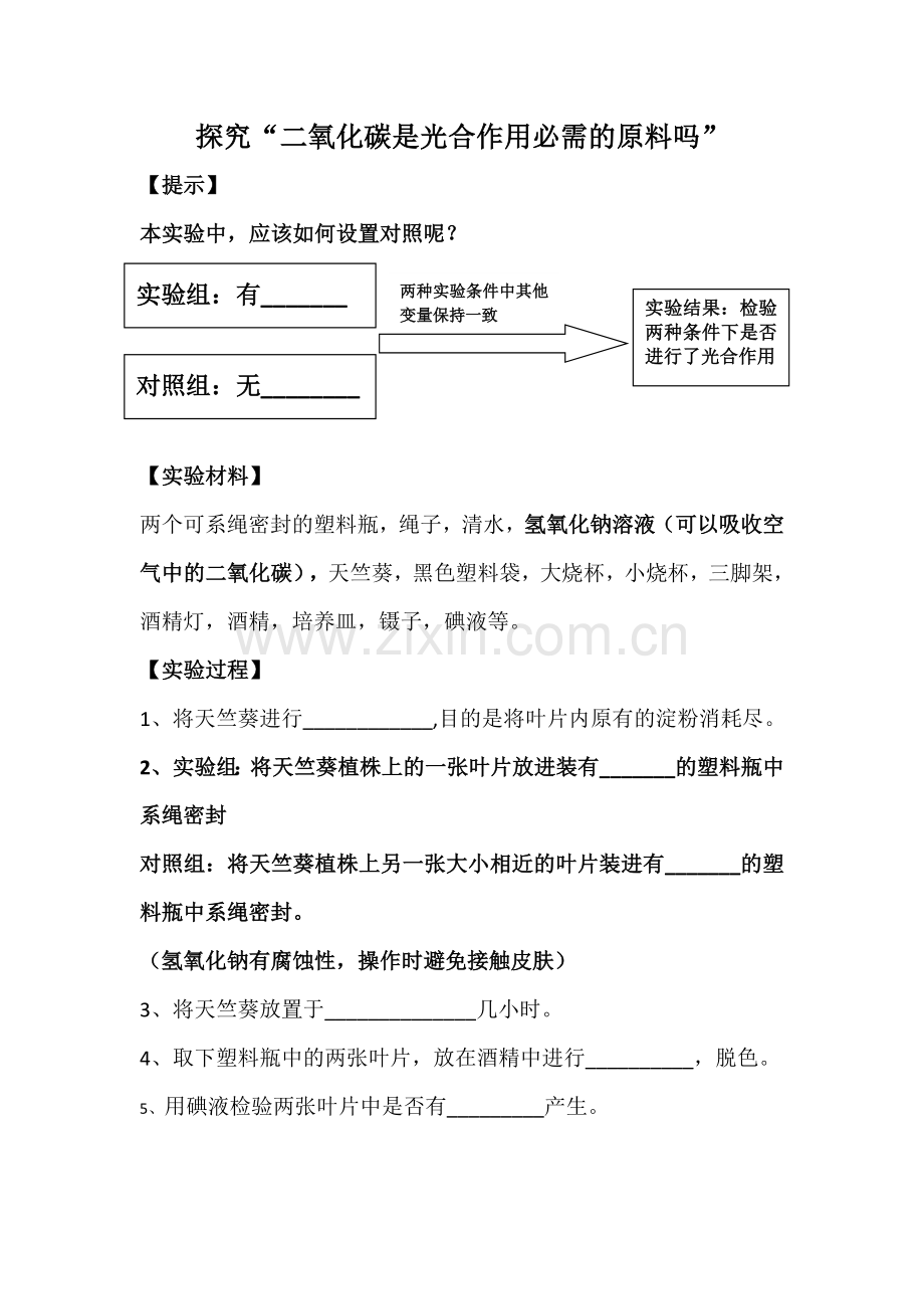 第五章-绿色植物与生物圈中的碳—氧平衡.doc_第1页