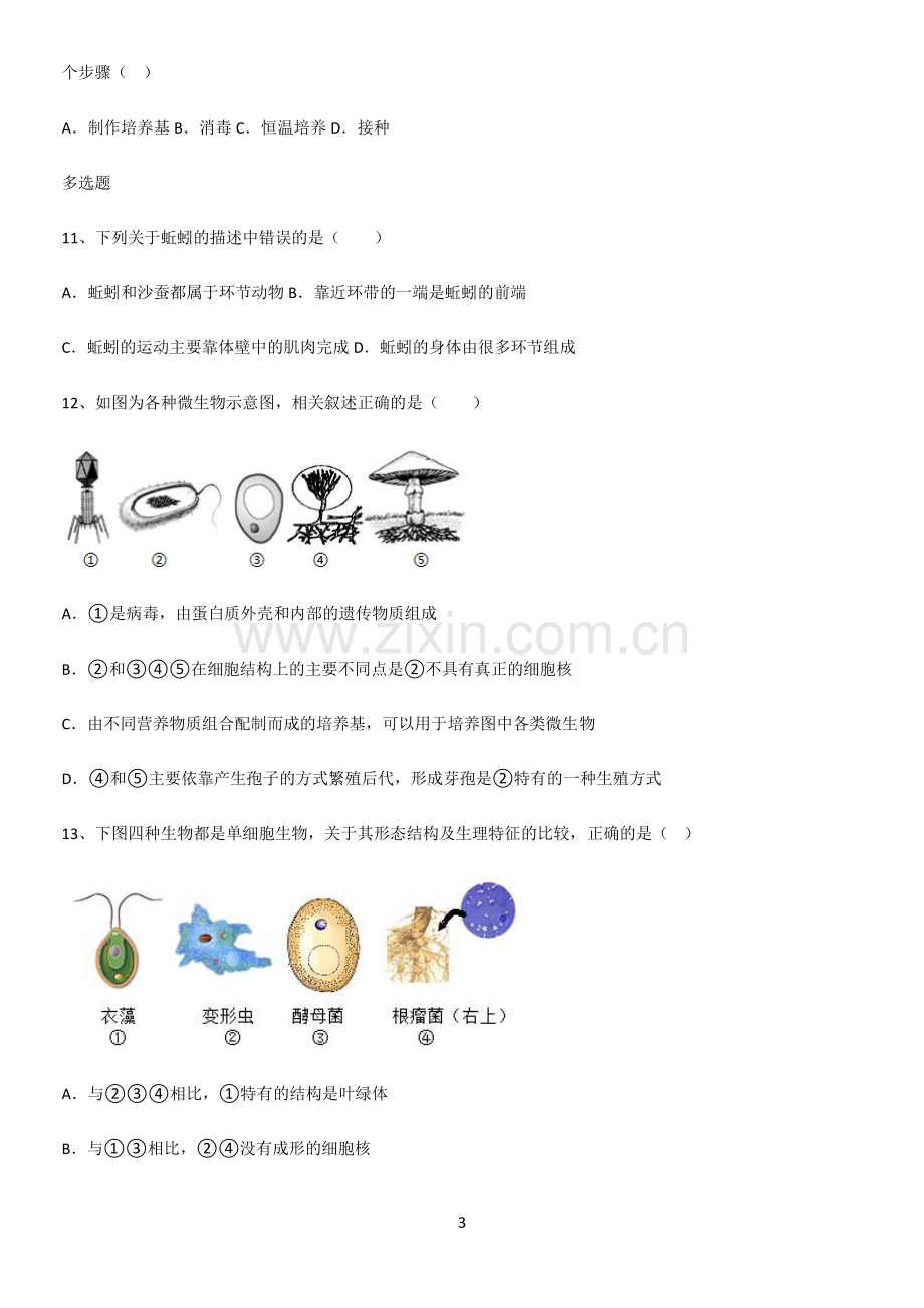 通用版初中生物八年级上册第五单元生物圈中的其他生物知识点梳理.pdf_第3页