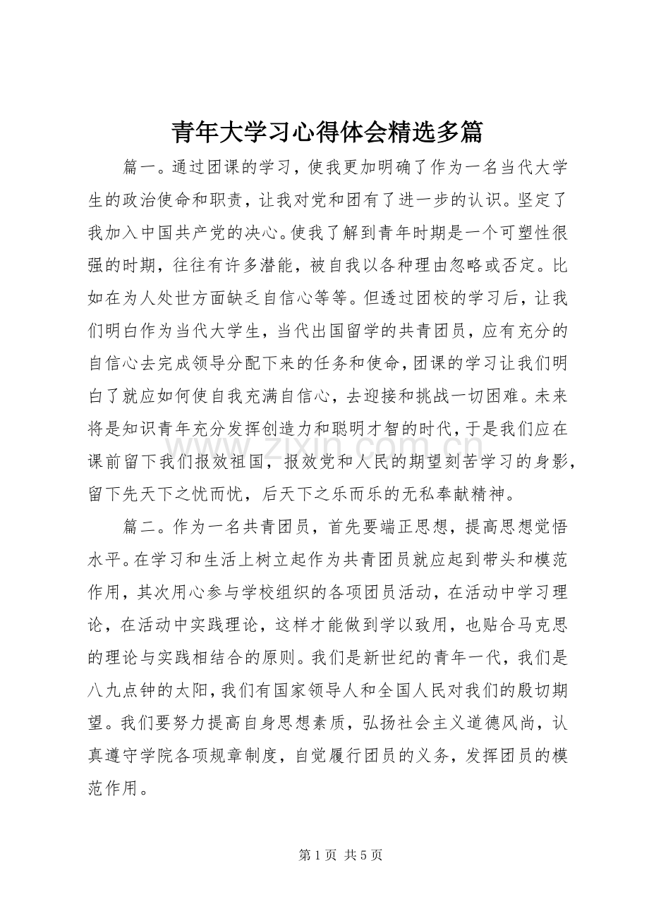 青年大学习心得体会多篇.docx_第1页